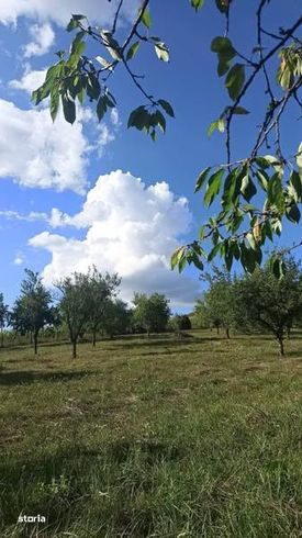 Casa de vacanta cu teren 1.2 ha-6