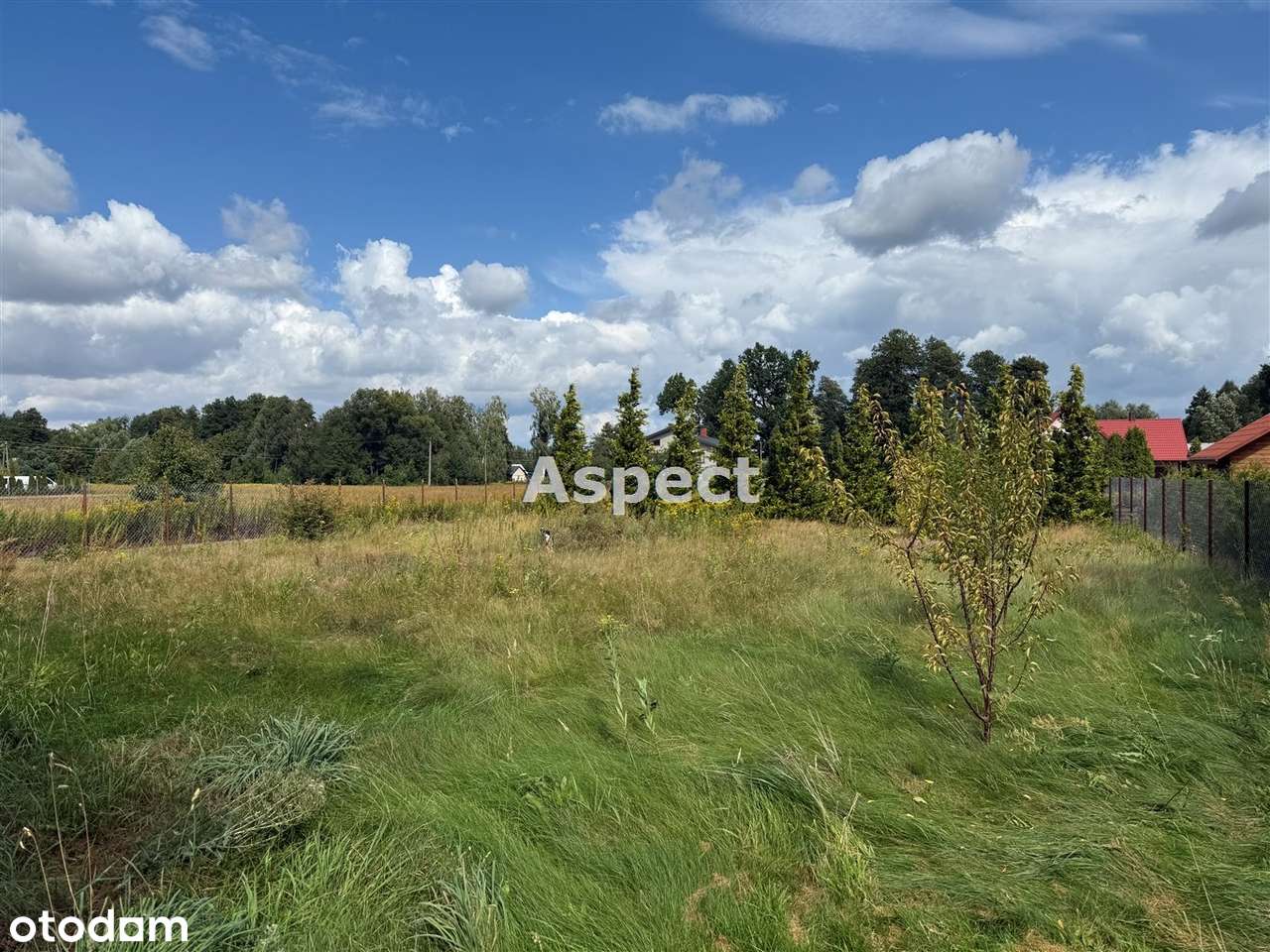 Dom jednorodzinny na dużej działce - Pełny obrazek: 4/18