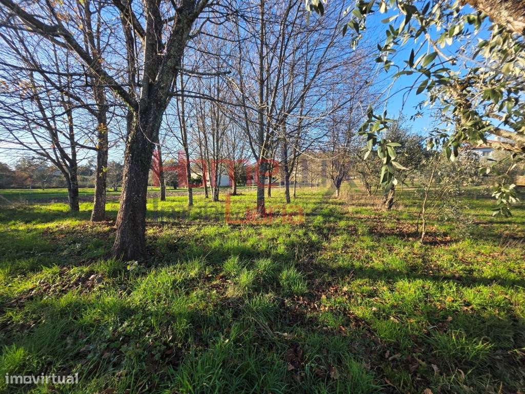 Terreno para venda em Vila Nova de Barreiros - Grande imagem: 4/16