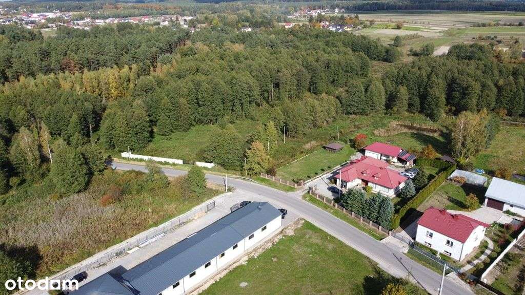 Działka inwestycyjna z koncepcją 6 domów - 88 arów - Pełny obrazek: 4/4