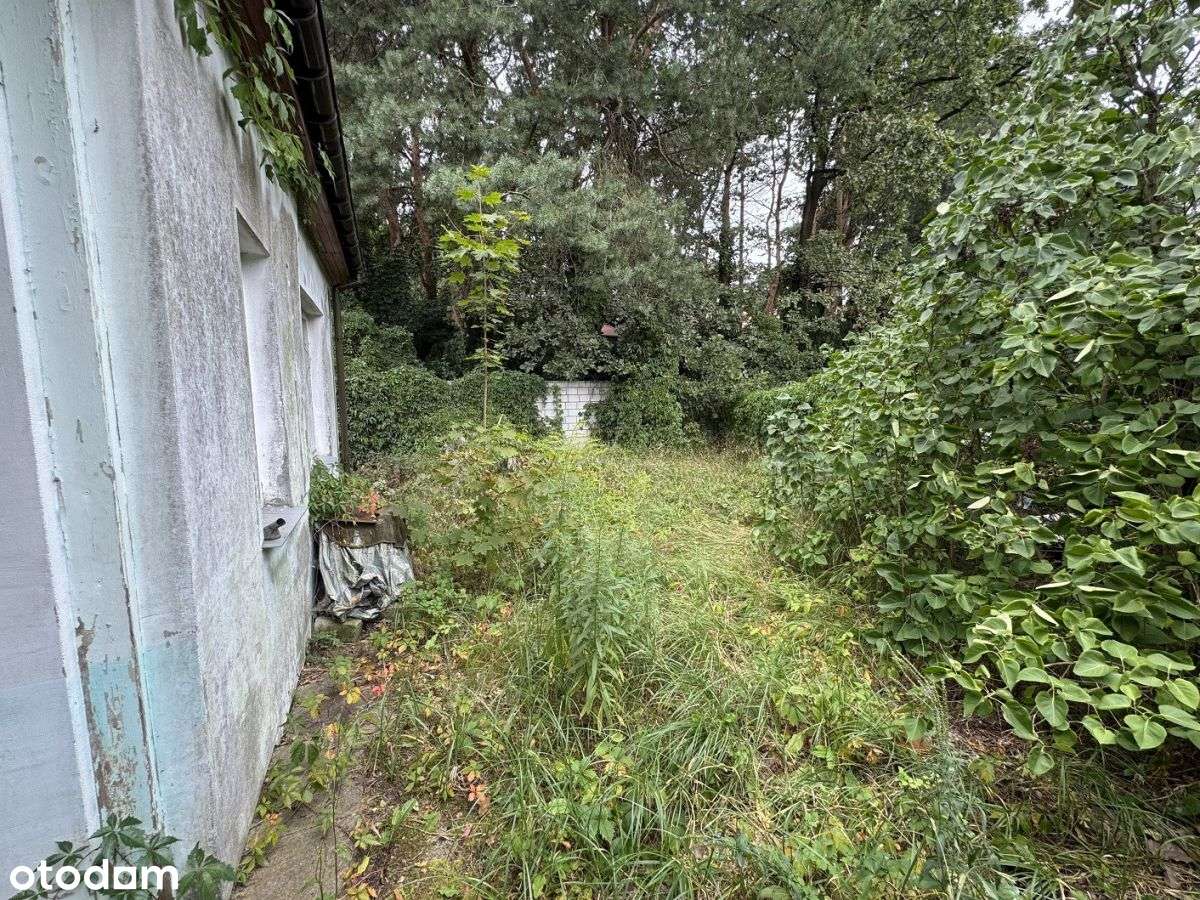 Pół działki, cały dom i pełen potencjał - Pełny obrazek: 4/11