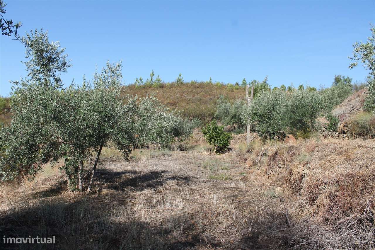 Terreno - Grande imagem: 4/12