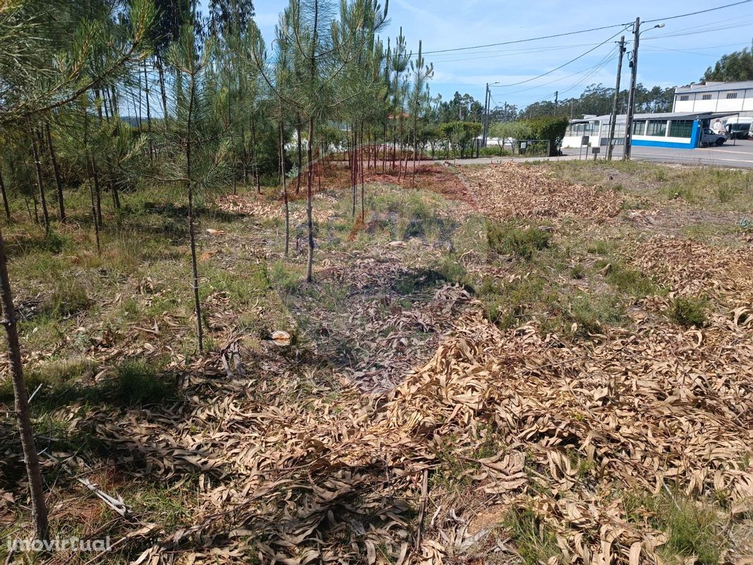 Terreno  para venda