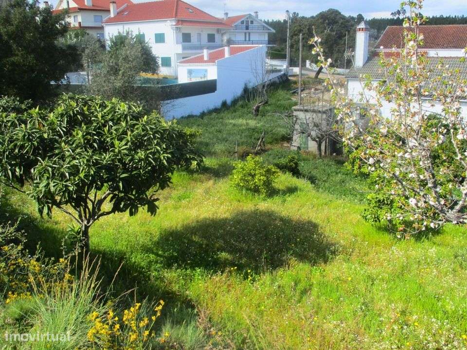 Quinta - Grande imagem: 5/13