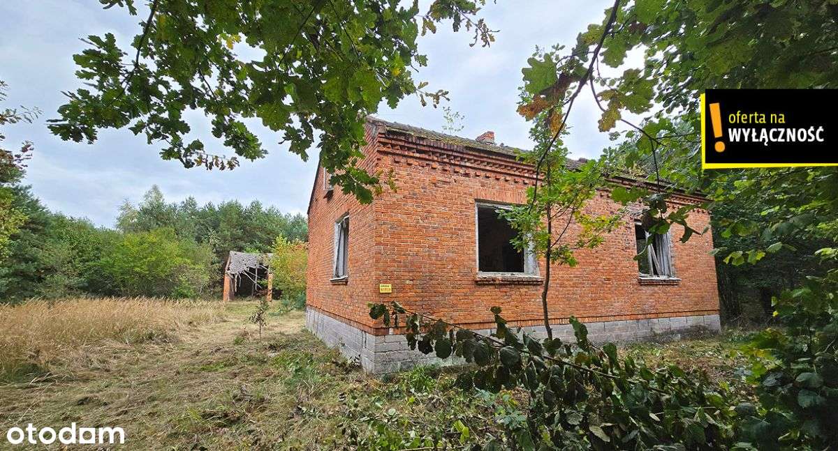 Rezerwacja-siedlisko - 3,46 ha z domem do remontu - Pełny obrazek: 5/8