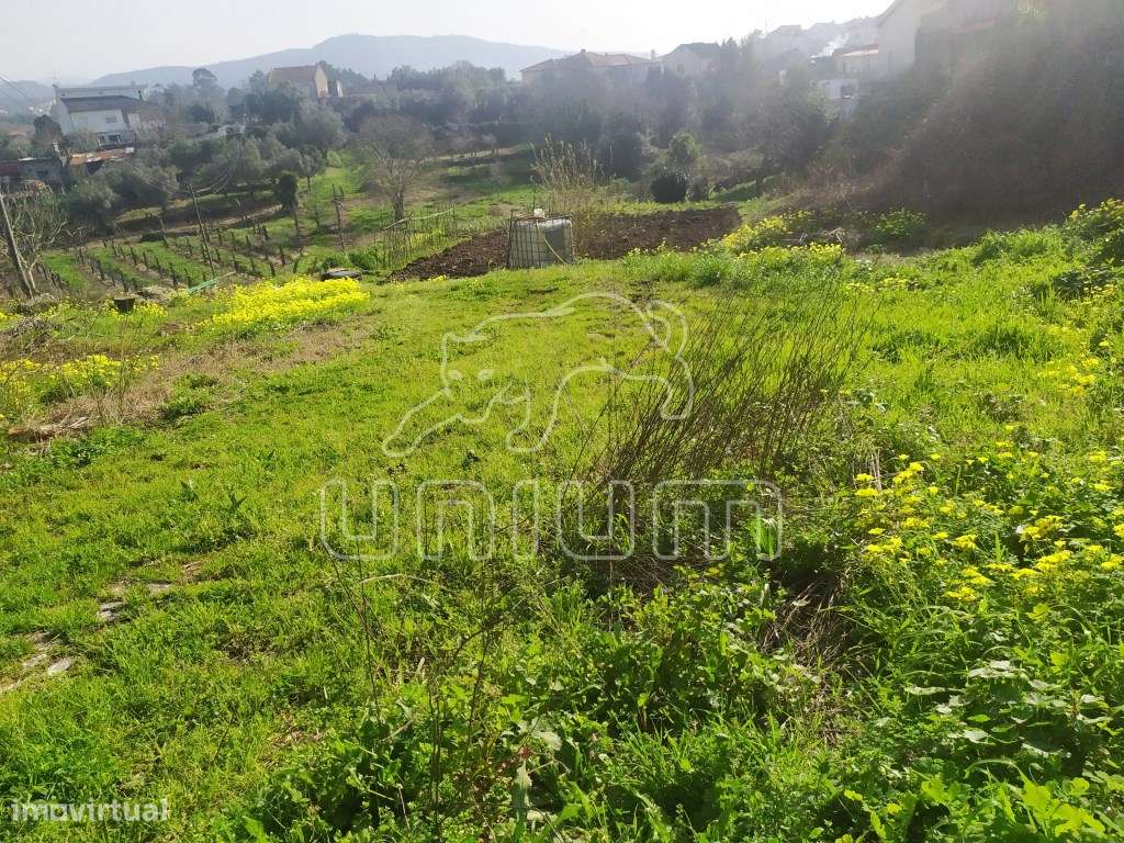 Terreno Cardielos - Grande imagem: 5/6