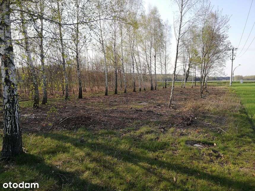 Działka Kołbiel Człekówka BEZ PROWIZJI-8