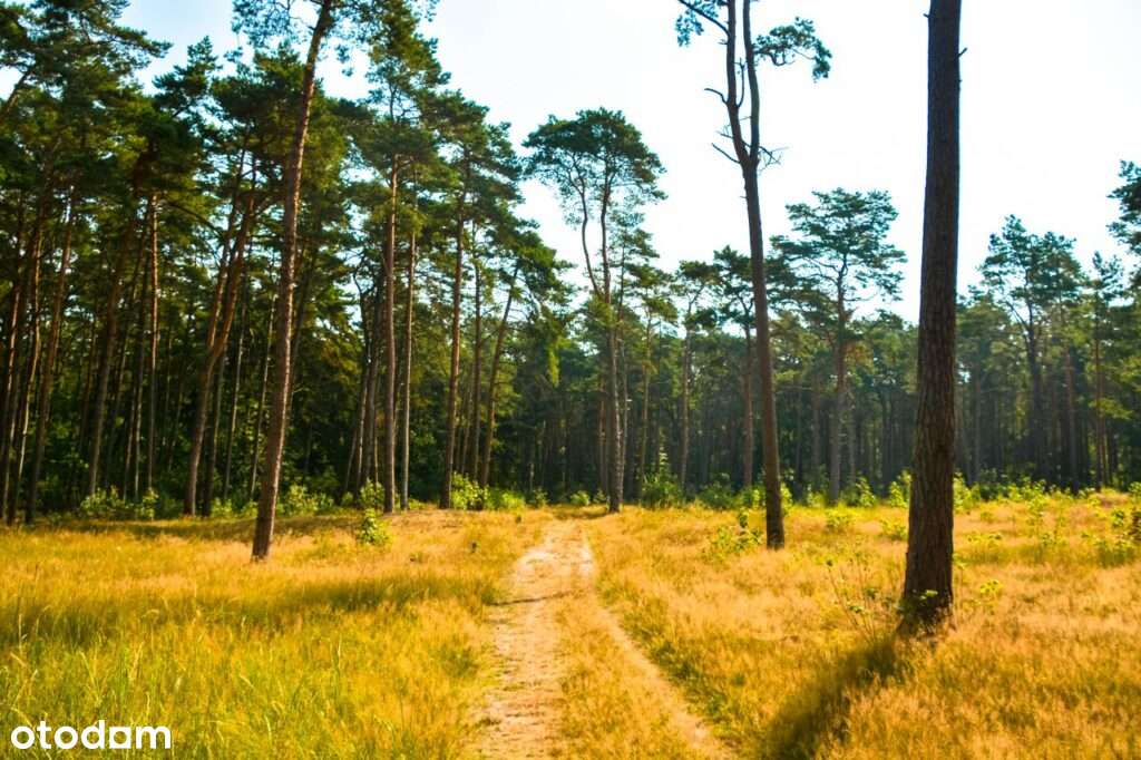 6 minut od plaży - spacerkiem przez las-8