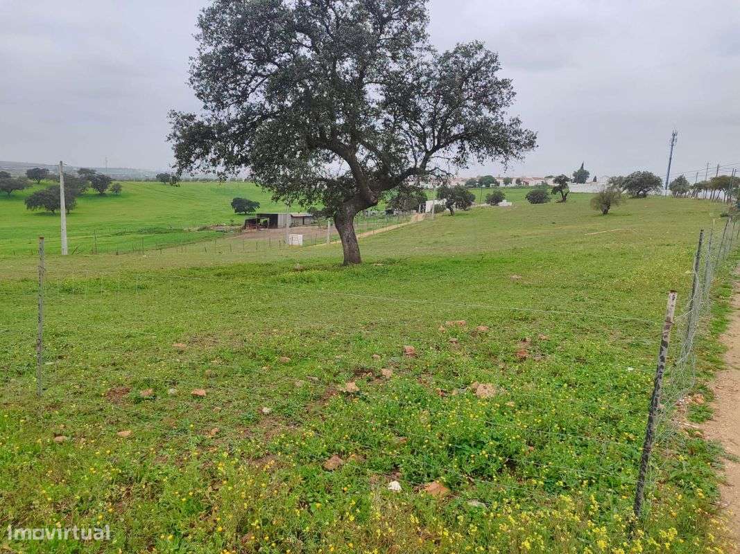 Terreno  para venda - Grande imagem: 4/6