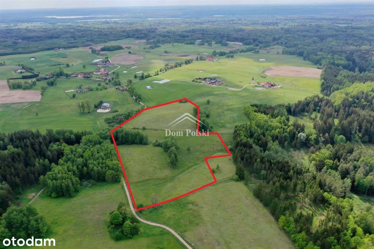 Piękna działka 5,7 ha Jabłonowo - Puszcza Borecka - Pełny obrazek: 4/14