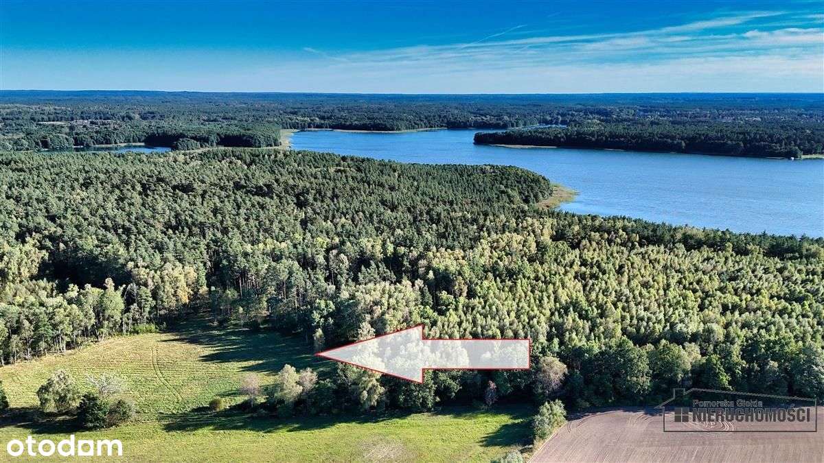 Pod Lasem Ok. 300 M Od Jeziora Pile - Dąbrowica --19