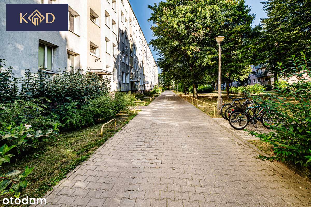 Mieszkanie na Winogradach, 3 pokoje - Pełny obrazek: 2/7