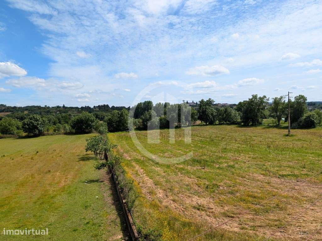 T3 com terraço e sótão - O equilíbrio perfeito entre espaço e conforto-20