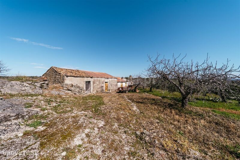 Quinta / Fundão, Martianas