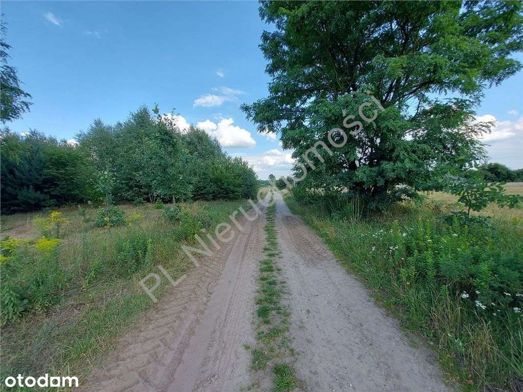 Wymiarowa Działka. Cisza I Spokój.-7