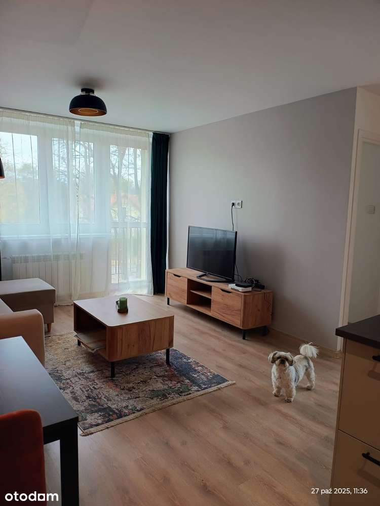 Mieszkanie dla Singla lub Pary w centrum Brwinowa. Bez prowizji-9