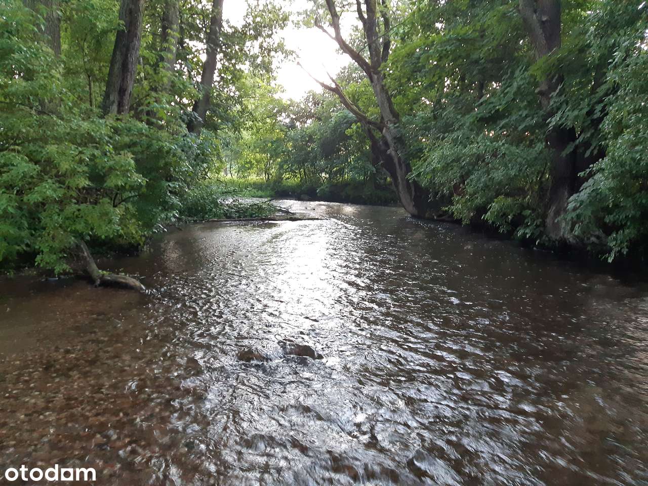 Magiczne Swaderki w pełni uzbrojona - 4 jeziora, 2 rzeki, lasy... - Pełny obrazek: 4/10