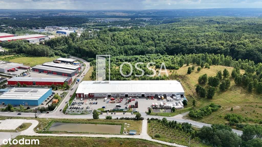 Magazyn 1500 - 4500 m² | Pierwsze 2 msc gratis - Pełny obrazek: 5/12