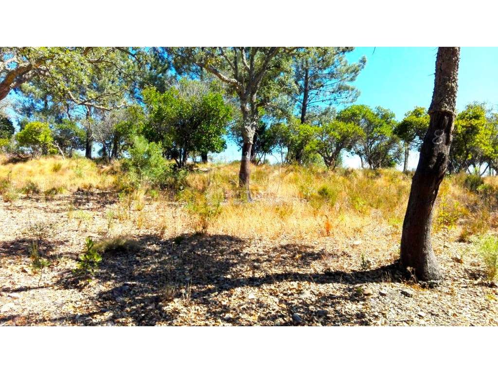 Terreno com 12,6ha com vista de mar - Melides - Grande imagem: 2/9