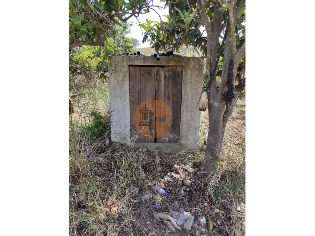 TERRENO COM 4.880 M2 - HORTA - COM ÁGUA DE REGA E NORA - RIO SECO -... - Grande imagem: 4/52