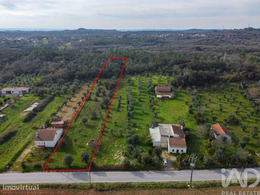 Terreno em Areias e Pias de 5800,00 m2 - Grande imagem: 2/30