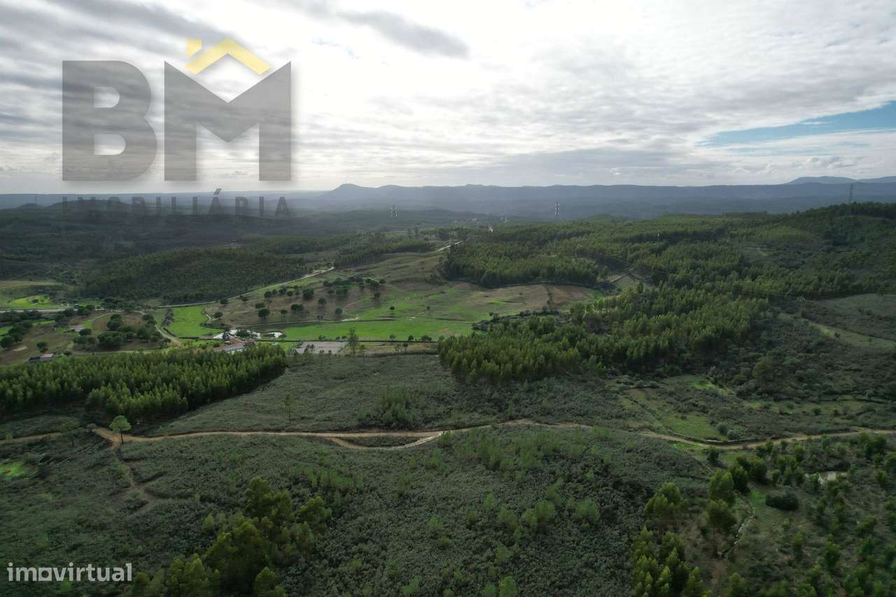 Terreno Rústico  Venda em Fratel,Vila Velha de Ródão - Grande imagem: 4/5