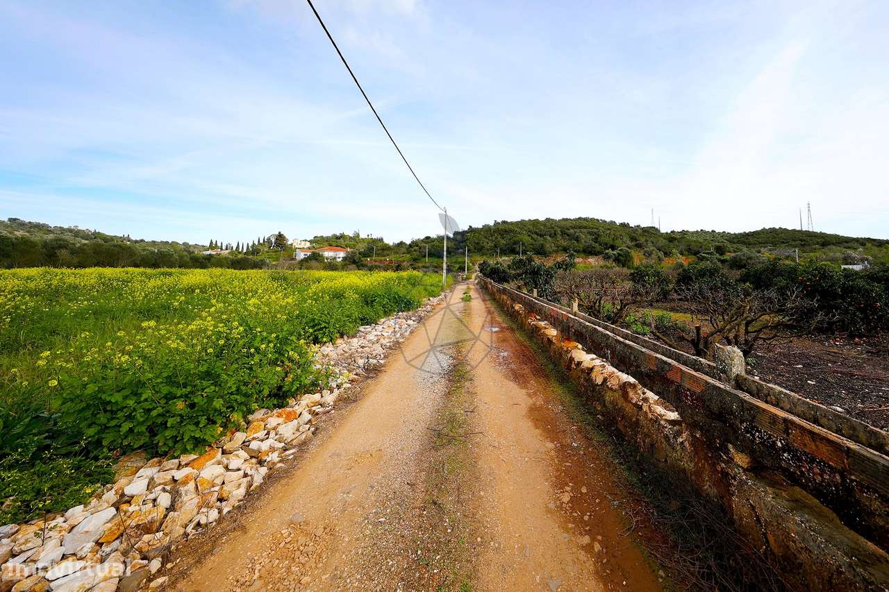 Quinta de 6,7ha com dois urbanos  na Mexilhoeira Grande - Grande imagem: 2/32