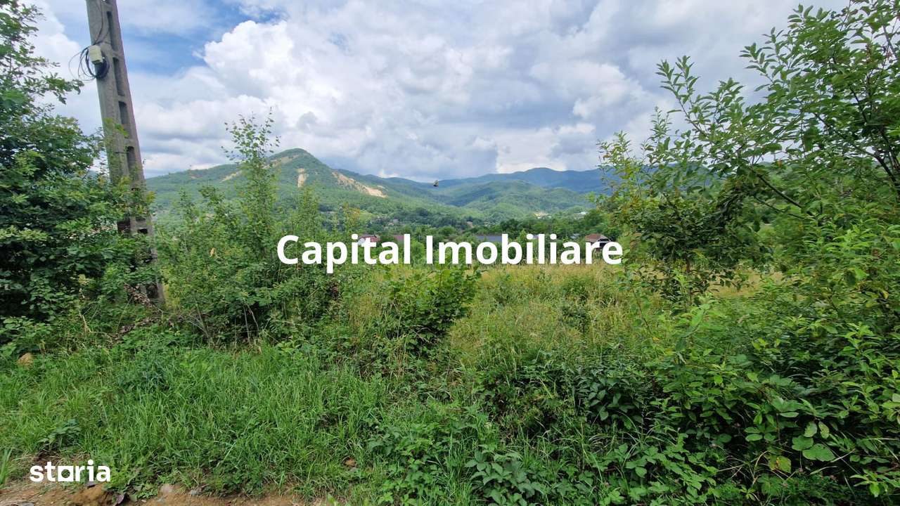 Teren de vanzare in Baia Sprie: 52 Ari, Parcelabil, Comision 0% - Imagine principală: 4/5