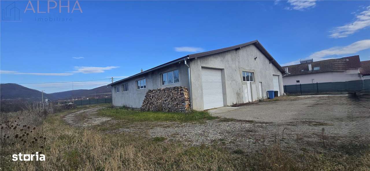 HALA DE VANZARE – IDEALA PENTRU SERVICE AUTO  PRODUCTIE  DEPOZIT  SALA - Imagine principală: 5/20