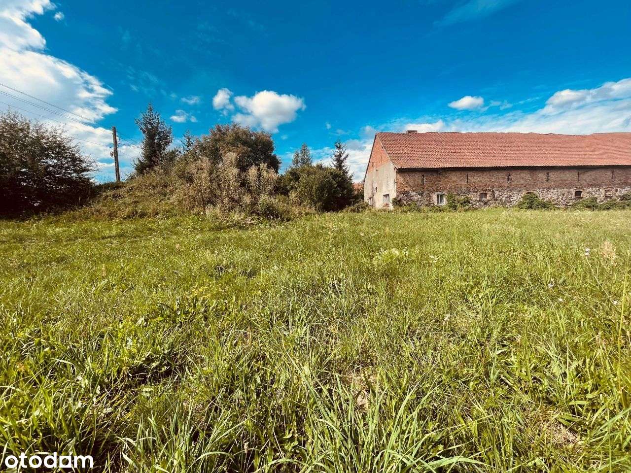 Działka budowlana Burkat/ Działdowo - Pełny obrazek: 4/13