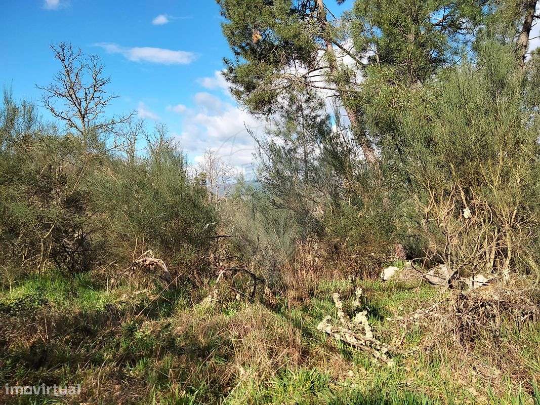 Terreno  para venda - Grande imagem: 2/9