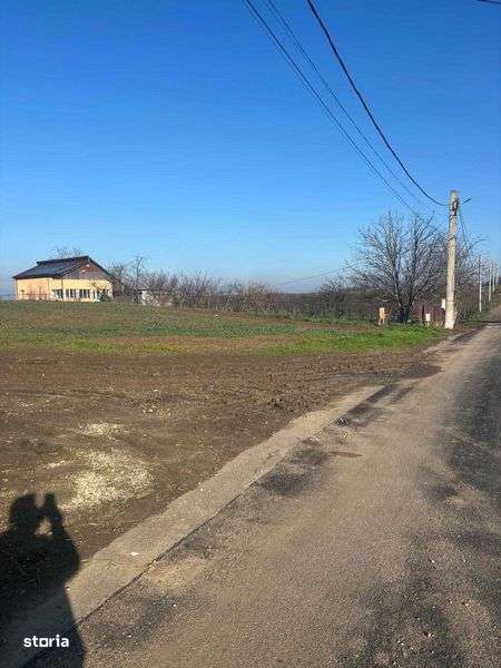 teren 5000mp, intravilan, Glina-Strada Rasaritului. Pret: 22 euro mp. - Imagine principală: 4/6