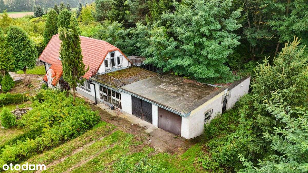 692482 - Pełny obrazek: 5/20