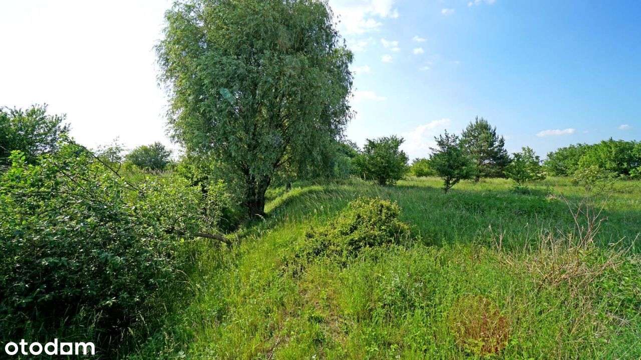 Działka nr 136/56 -Działki "Na wzgórzu" - Pełny obrazek: 4/5