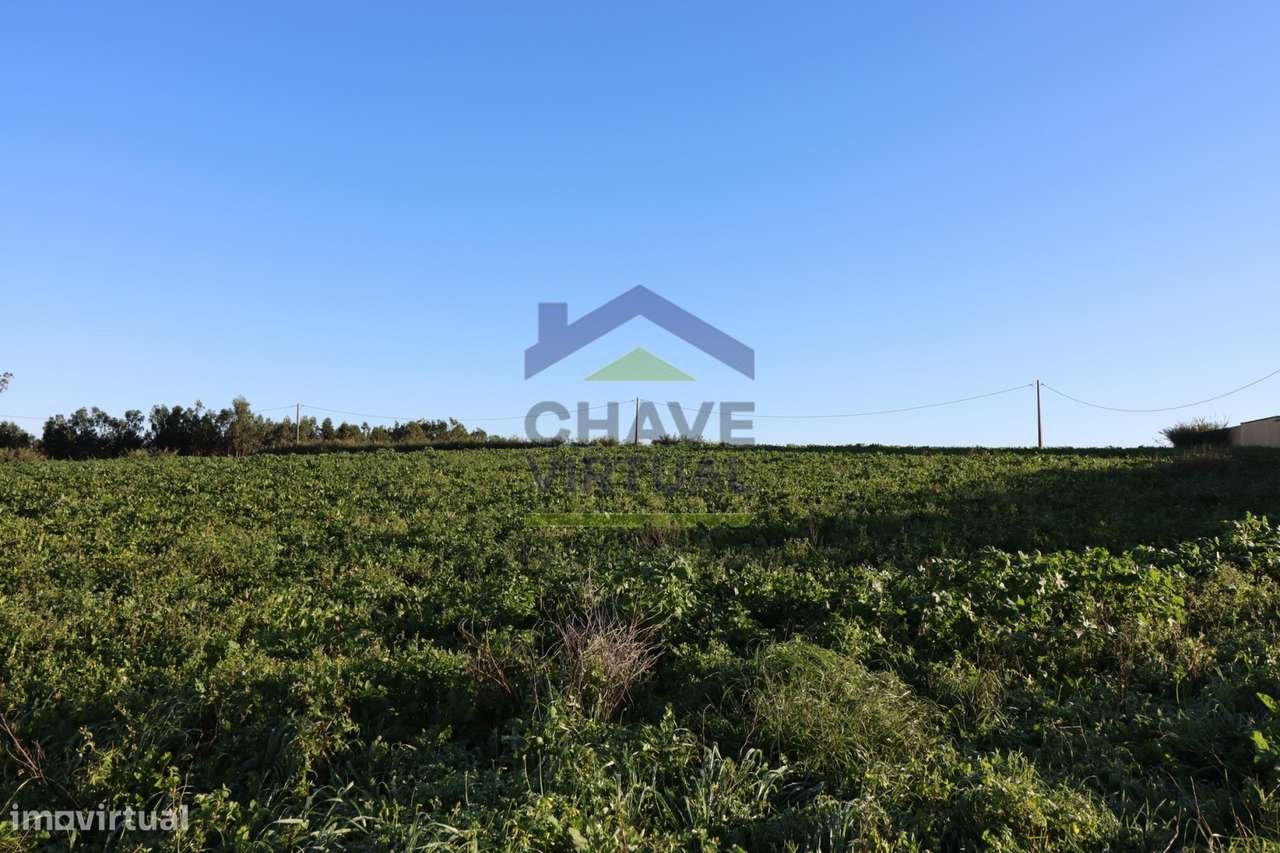 Terreno com projeto de construção-9