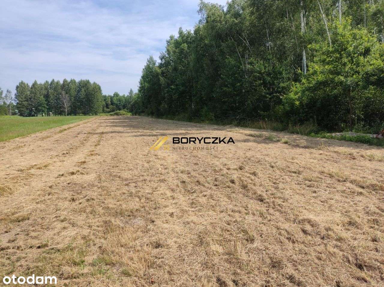 Działka z warunkami zabudowy! - Pełny obrazek: 5/5