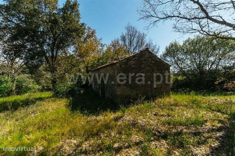 Terreno com ruina / Fundão, Pêro Viseu - Grande imagem: 5/14