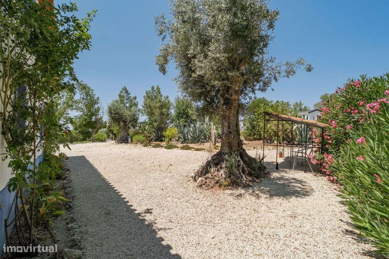 Quinta | Venda | ALENTEJO-36