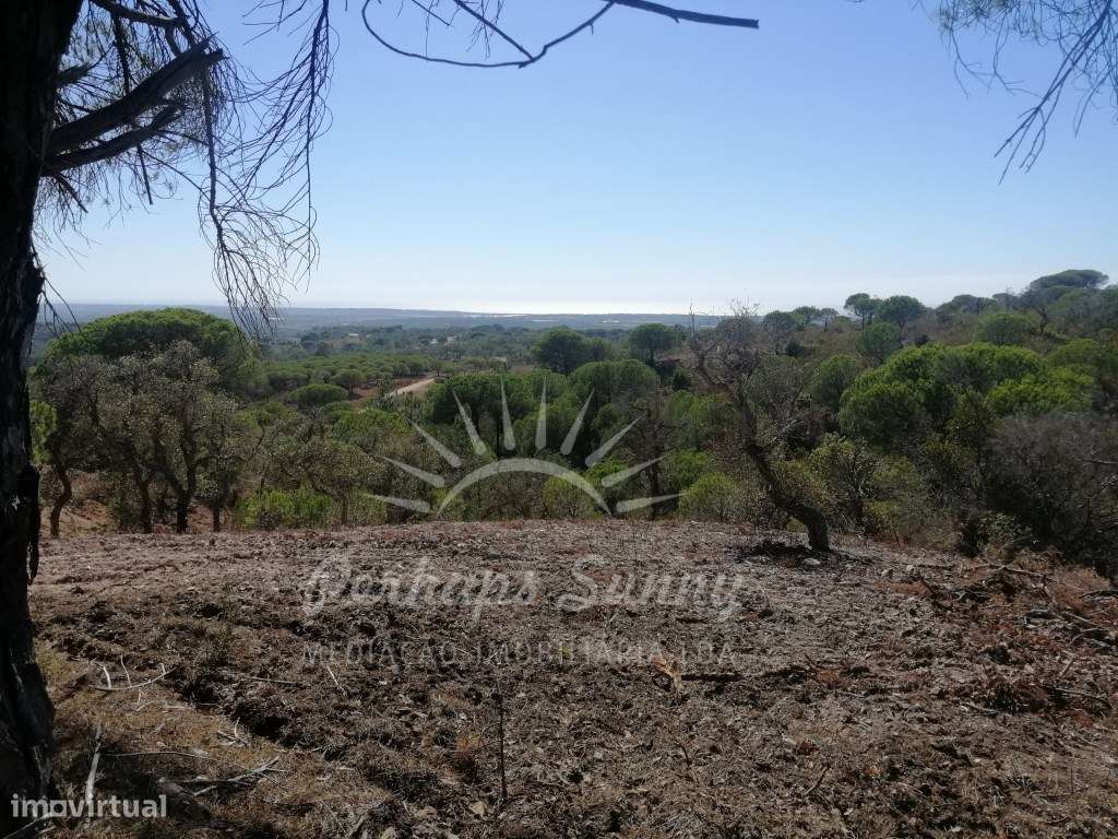 Terreno Rústico - Melides - Vista Mar - Grande imagem: 2/25