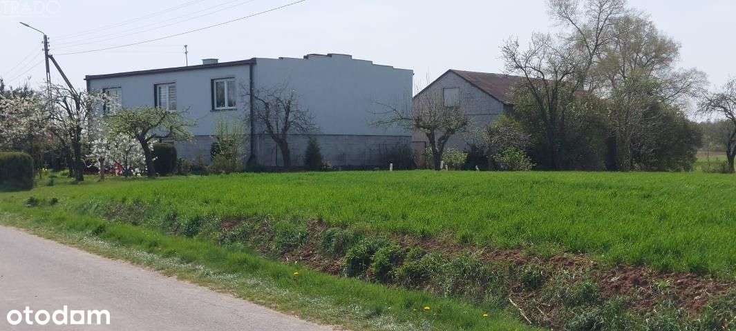 Gospodarstwo 5,72 ha Góraj gm. Babiak-1