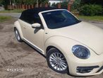 Volkswagen Beetle - 16