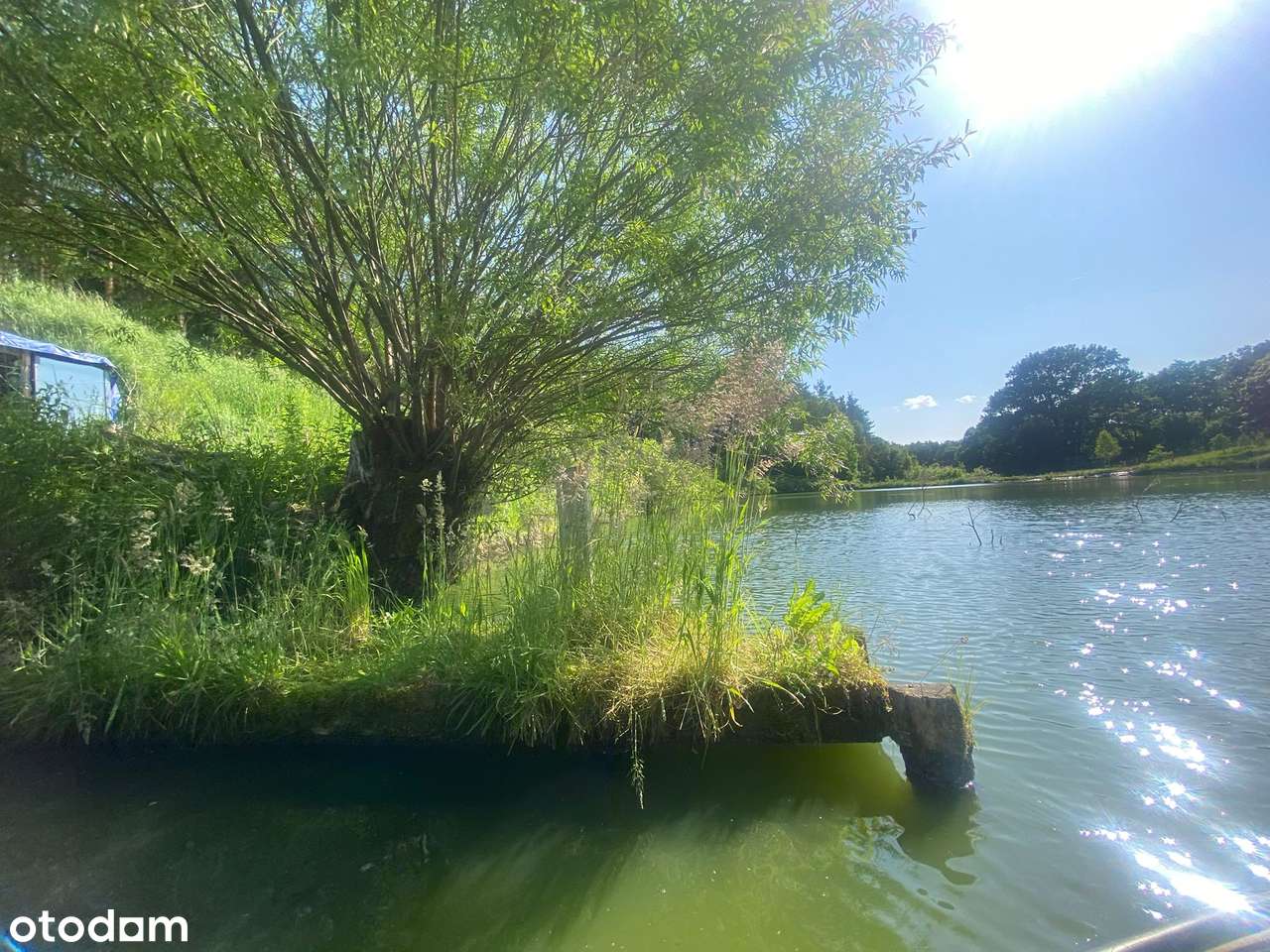 Działka siedliskowa z wydanymi warunkami zabudowy + stawy rybne-1