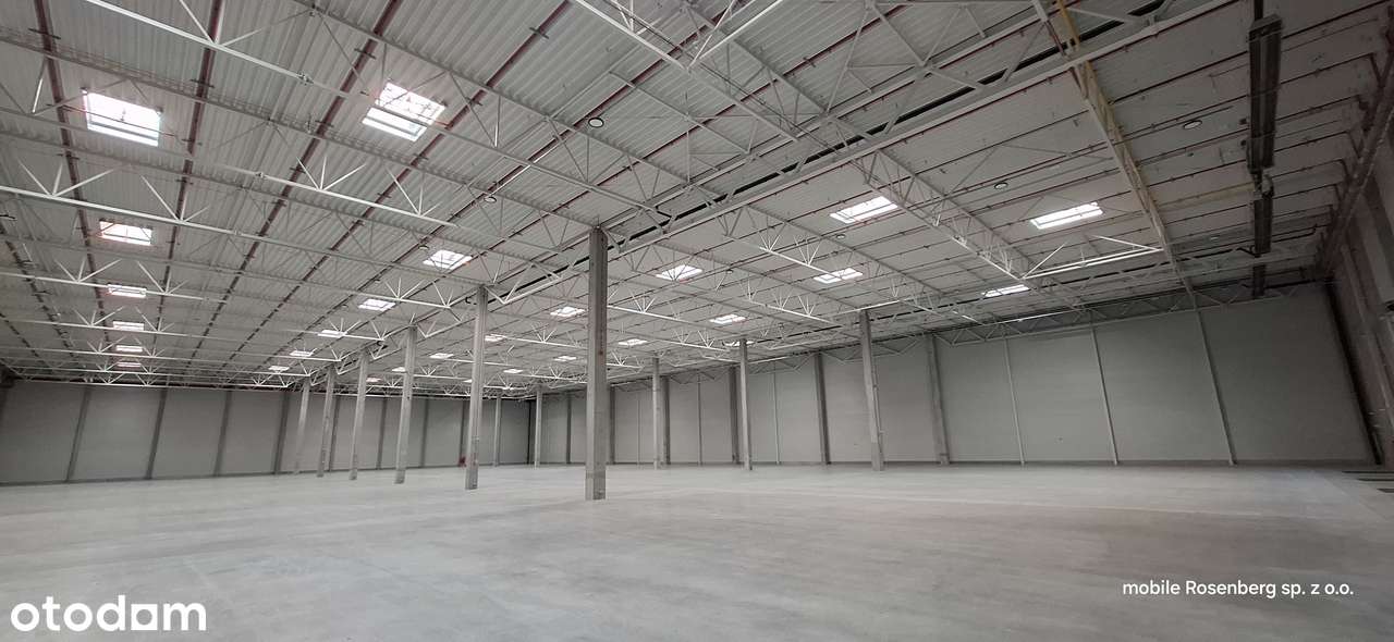 4 moduły po 2000m lub 4000m HALA Wynajem bezpośrednio. 10 m wysoki - Pełny obrazek: 5/12
