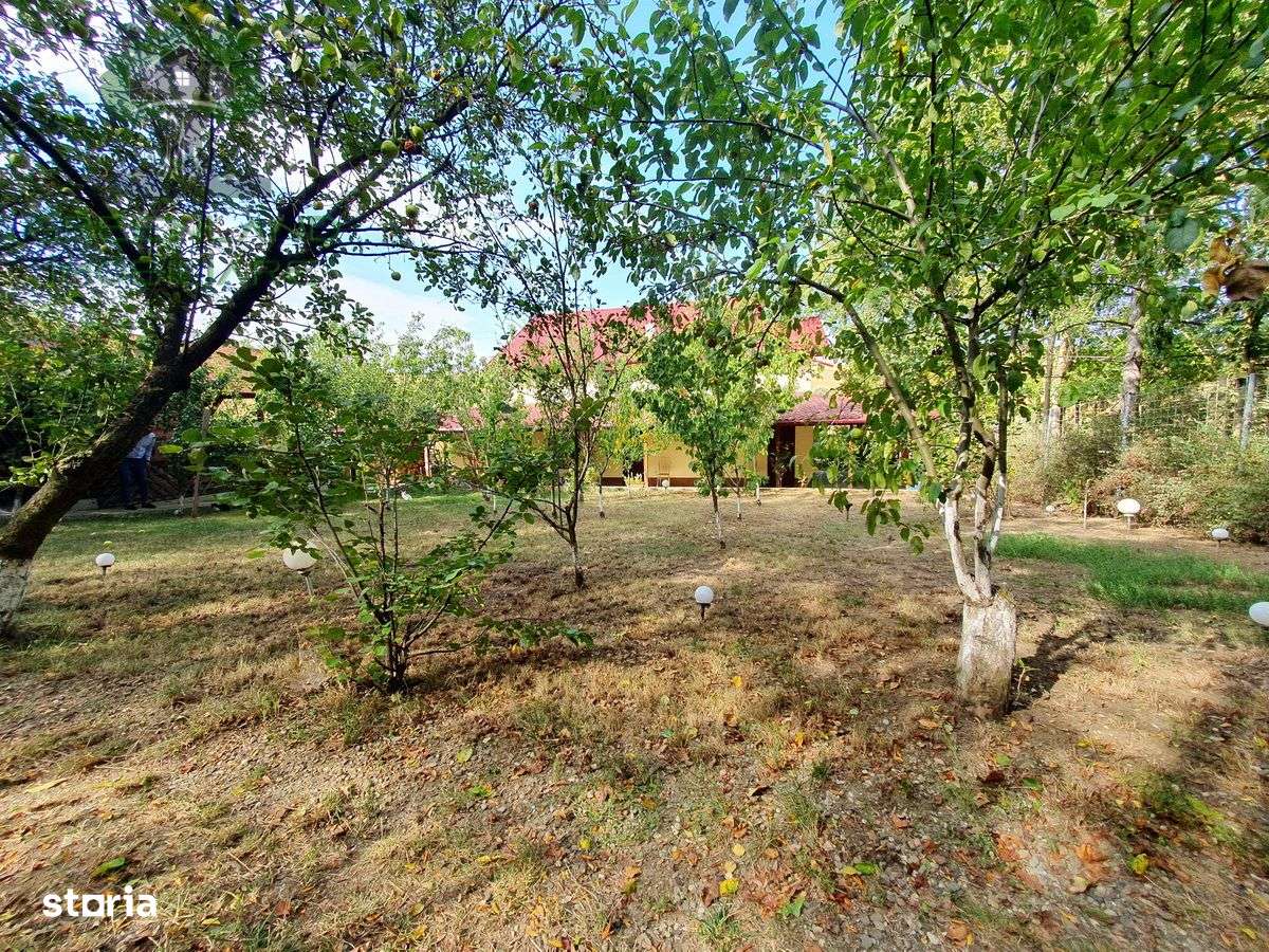 Vila P+E+M 8 camere, 3 bai, 245mp, TEREN 1570mp, la asfalt, drumul E58 - Imagine principală: 5/20