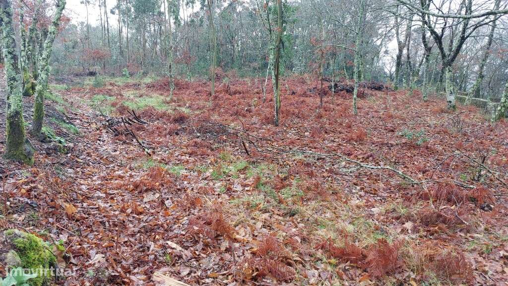 Terreno rústico - Agra, Rossas-8