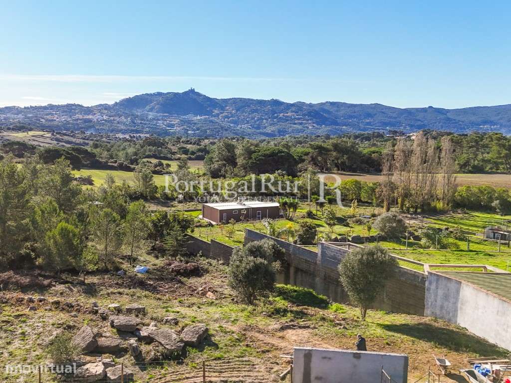 Terreno com 5.500m2 e projecto aprovado para moradia na região de S... - Grande imagem: 2/31