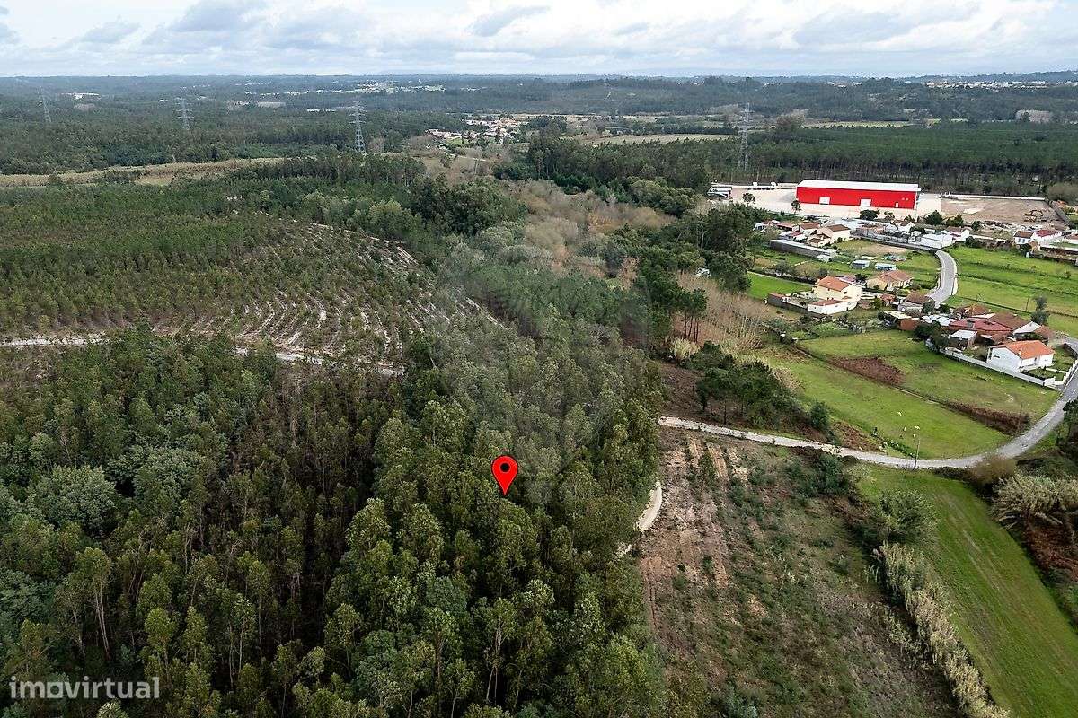 Terreno  para venda - Grande imagem: 3/10