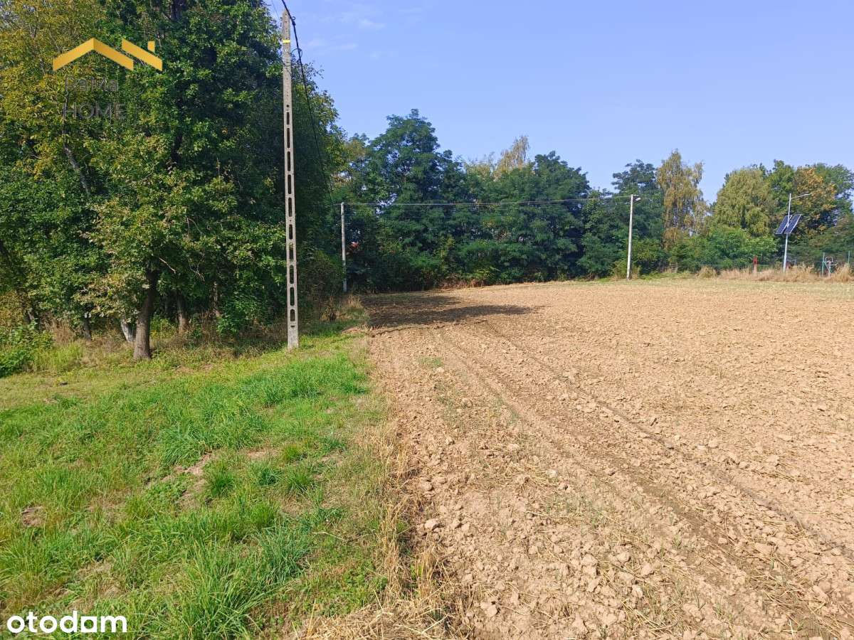 Atrakcyjna działka w Zborczycach-10