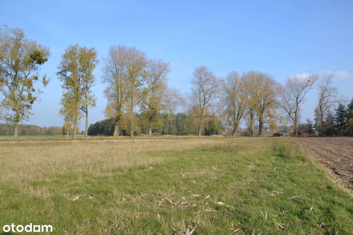 Cena od 60 zł/m2. Działki przy jeziorze. - Pełny obrazek: 5/7