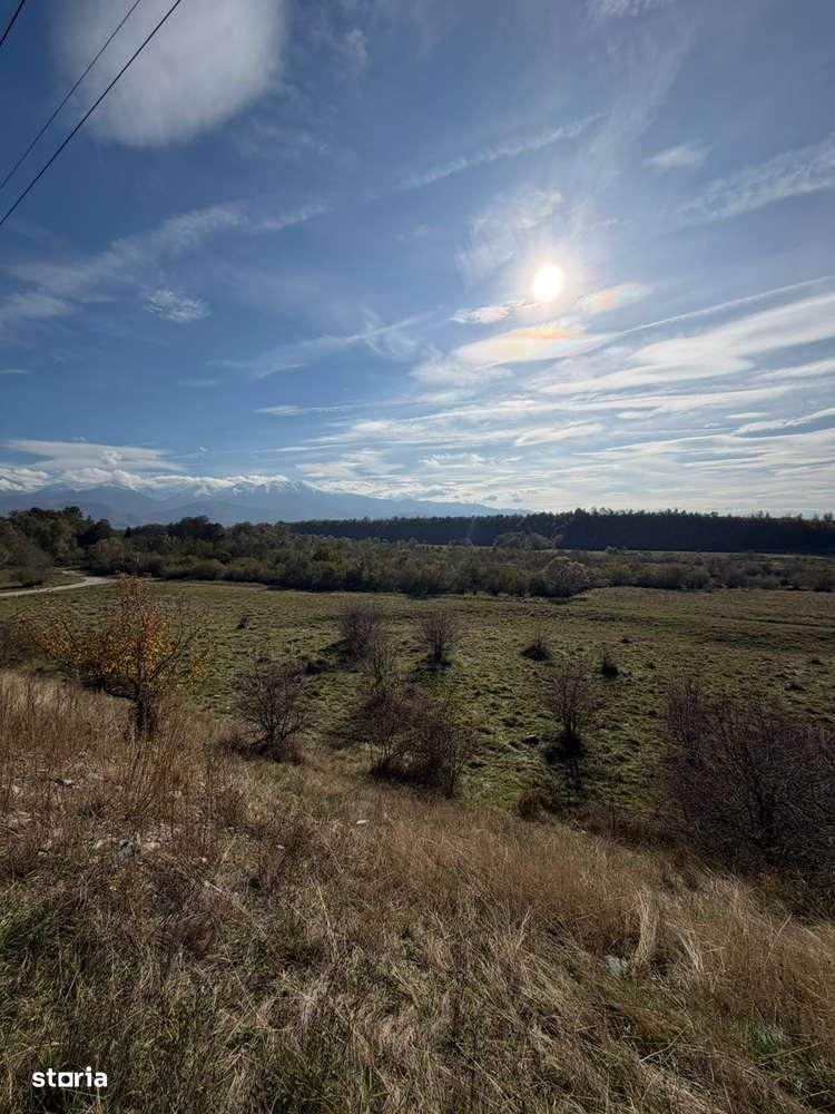 Teren, 2 900 m², -3